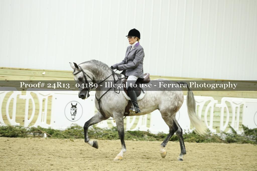 Proof 24R13_04189