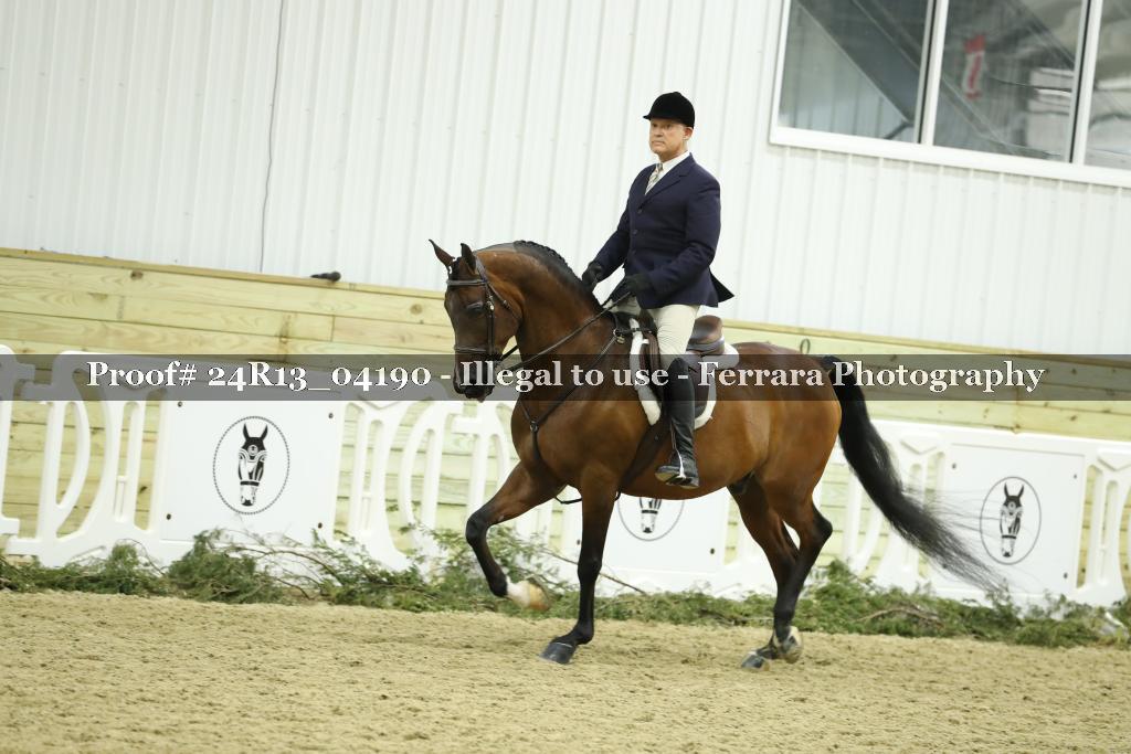 Proof 24R13_04190