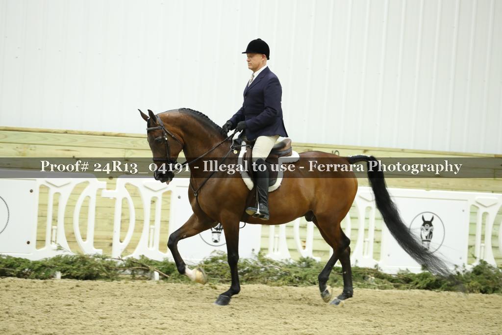 Proof 24R13_04191