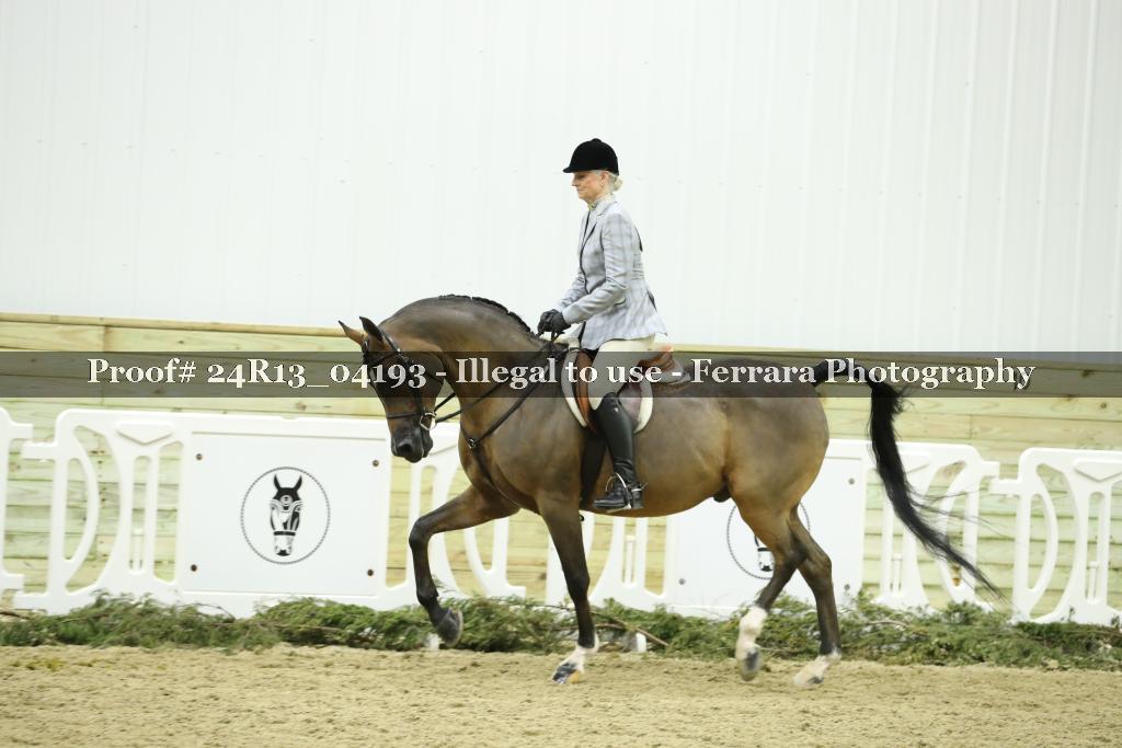 Proof 24R13_04193