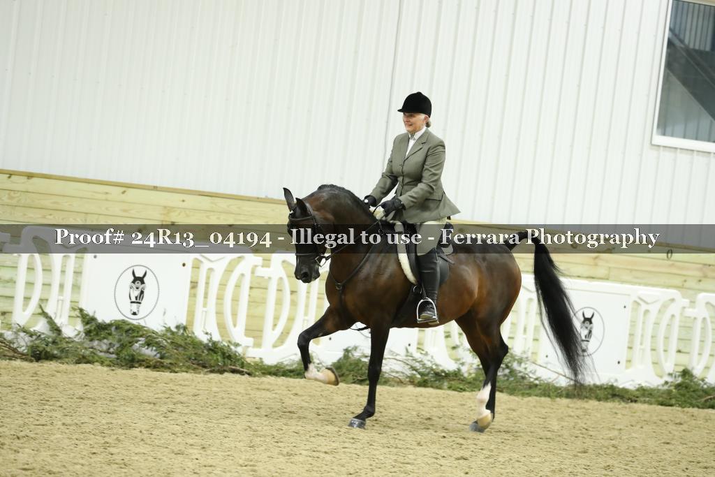 Proof 24R13_04194