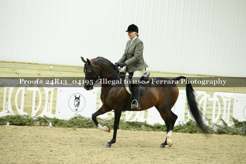 Proof 24R13_04195