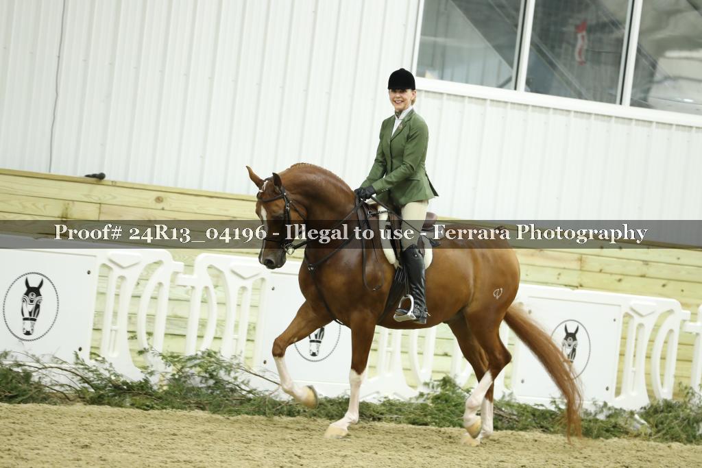Proof 24R13_04196