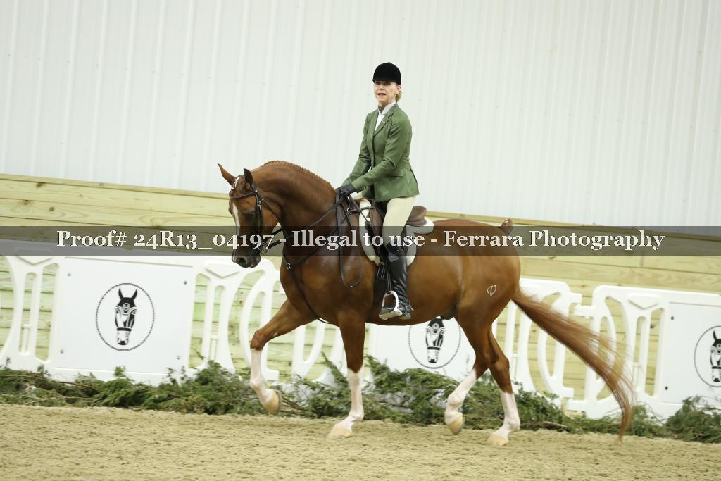 Proof 24R13_04197