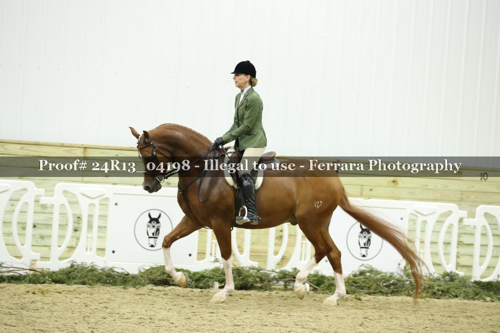 Proof 24R13_04198