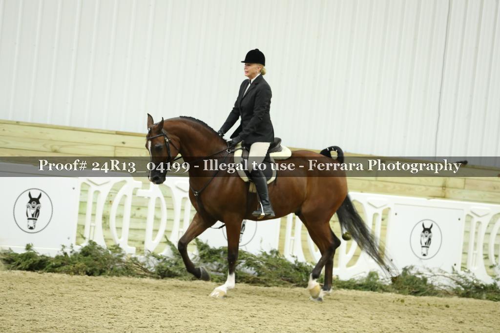 Proof 24R13_04199