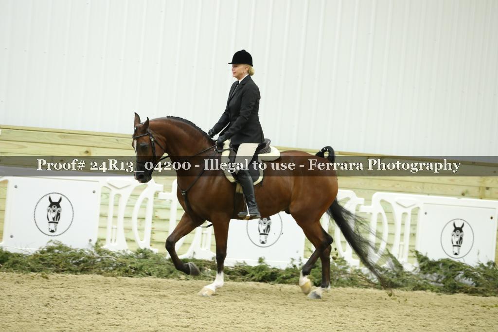 Proof 24R13_04200