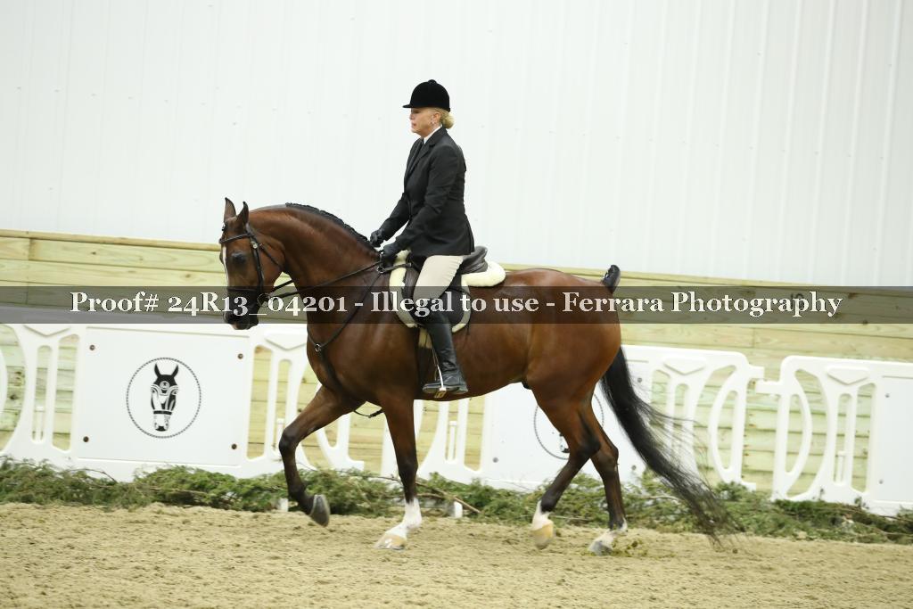 Proof 24R13_04201
