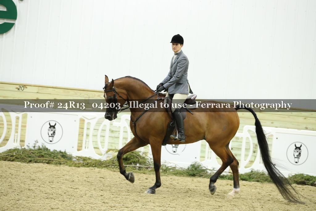 Proof 24R13_04203