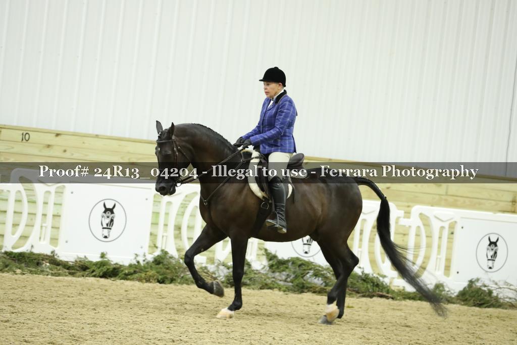 Proof 24R13_04204
