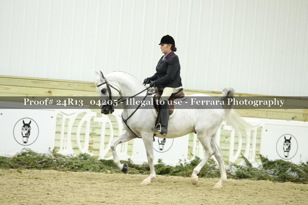 Proof 24R13_04205