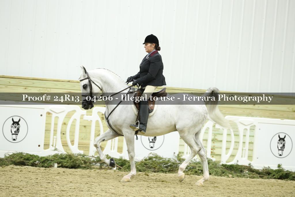 Proof 24R13_04206