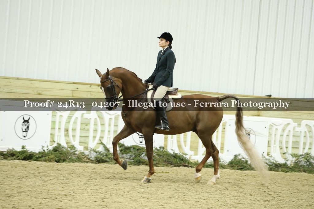 Proof 24R13_04207