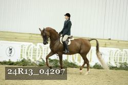24R13_04207 proof