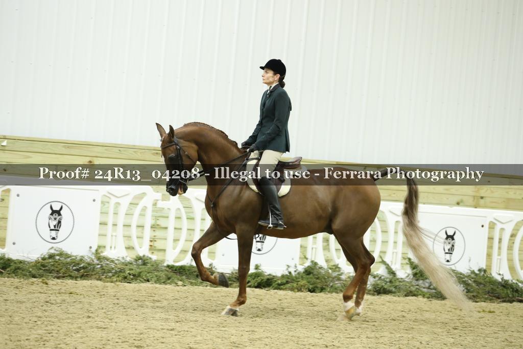 Proof 24R13_04208