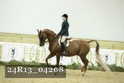 24R13_04208 proof
