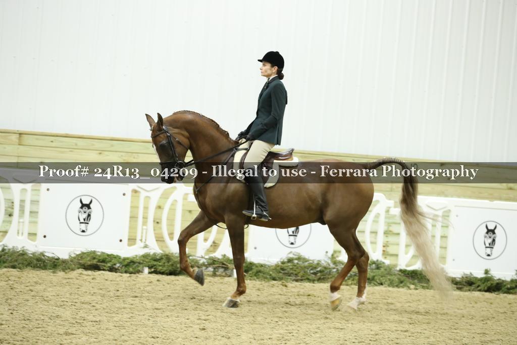 Proof 24R13_04209