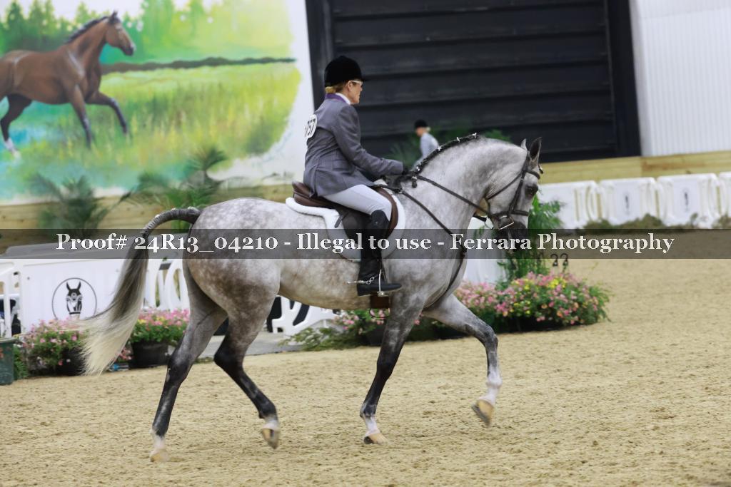Proof 24R13_04210