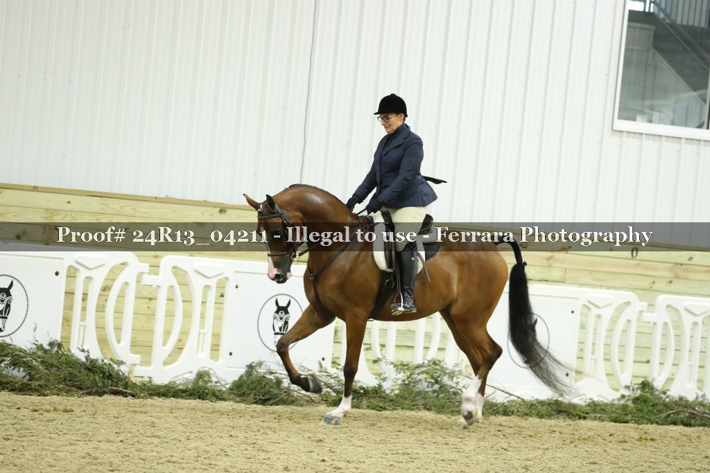 Proof 24R13_04211