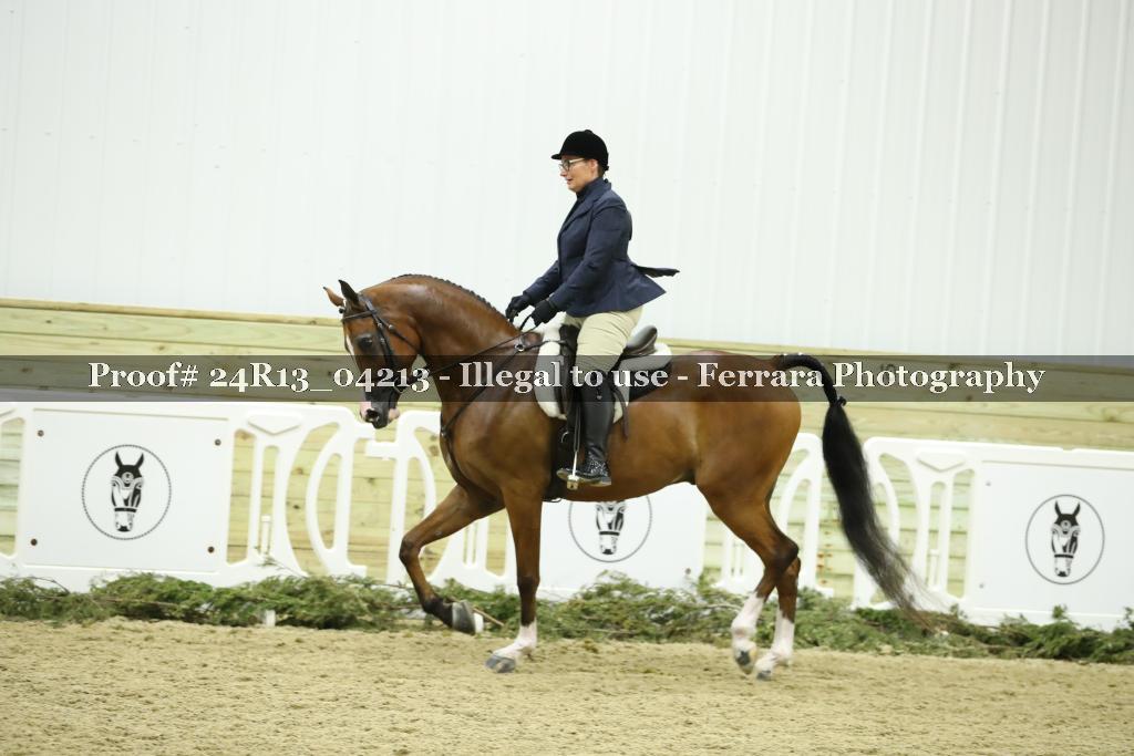 Proof 24R13_04213