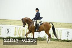 24R13_04213 proof