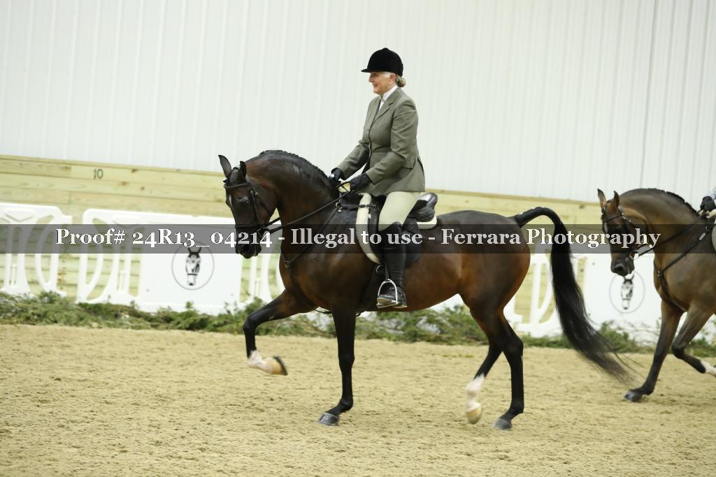 Proof 24R13_04214