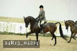 24R13_04214 proof