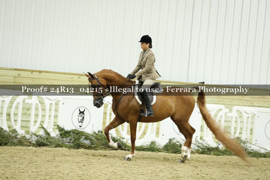Proof 24R13_04215