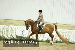 24R13_04215 proof