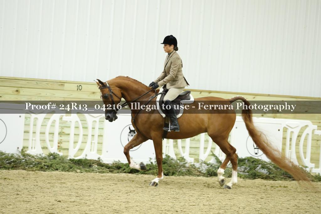 Proof 24R13_04216