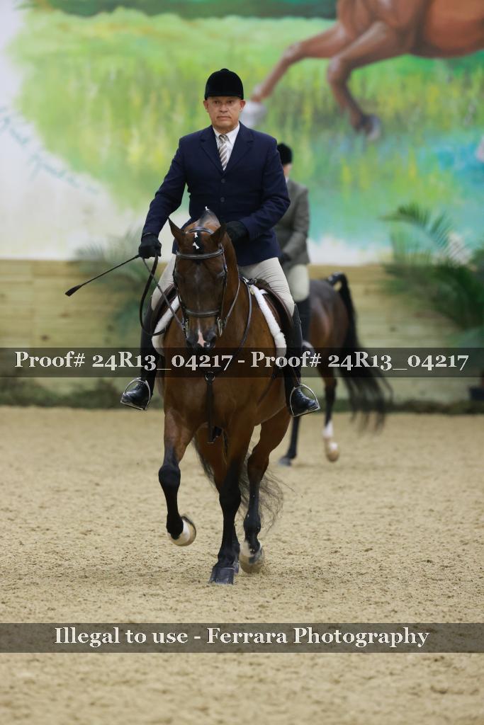 Proof 24R13_04217