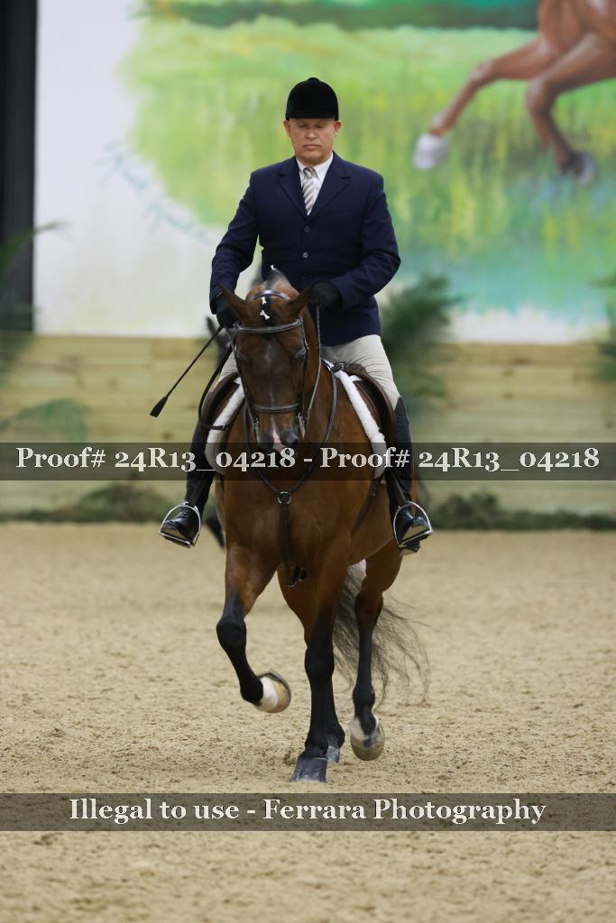 Proof 24R13_04218