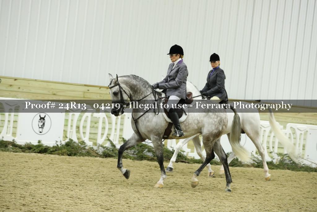 Proof 24R13_04219