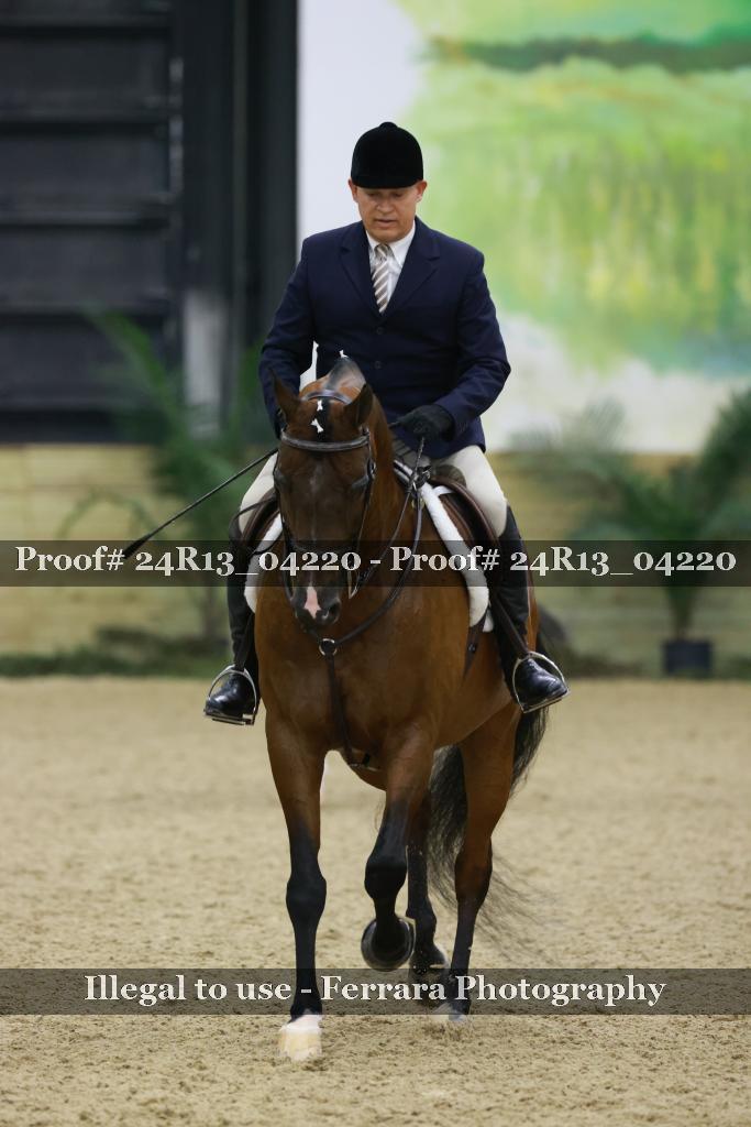 Proof 24R13_04220