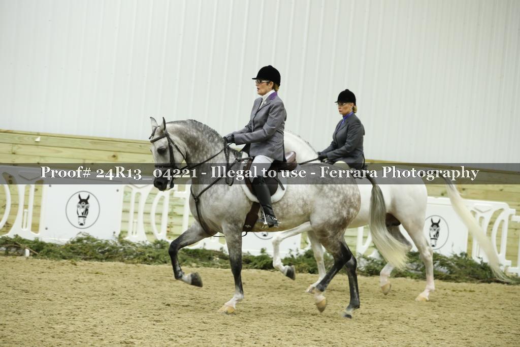 Proof 24R13_04221