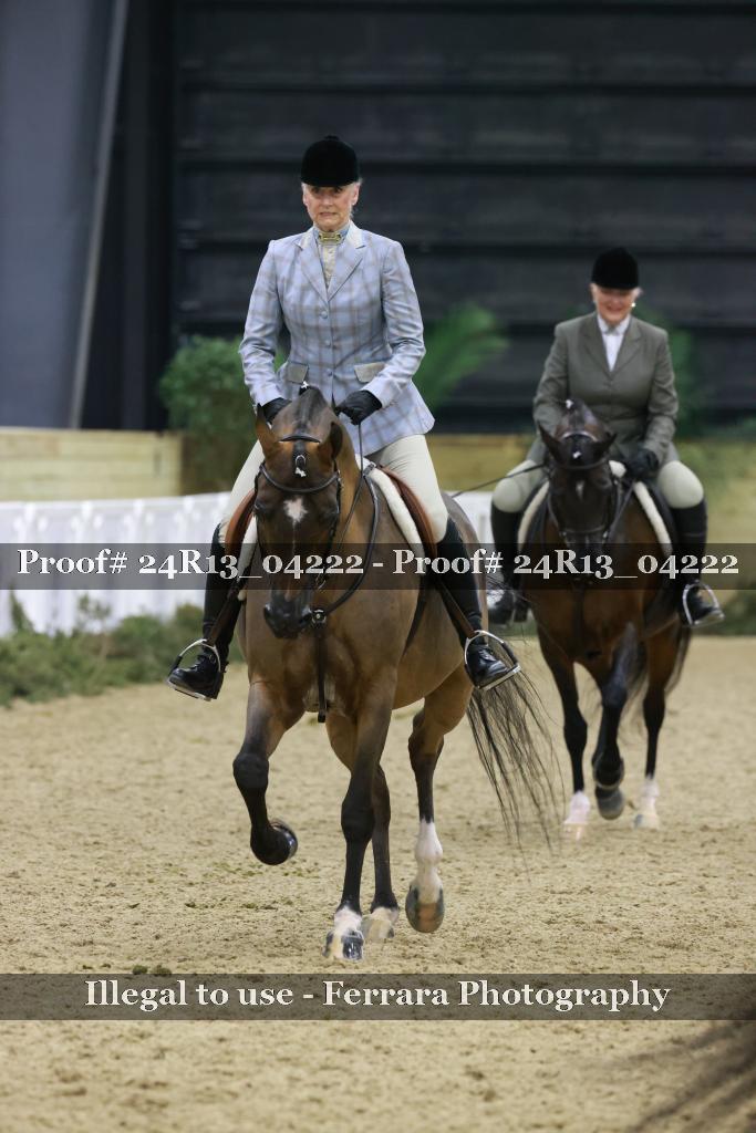 Proof 24R13_04222