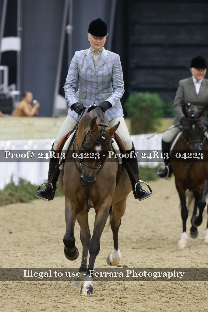 Proof 24R13_04223