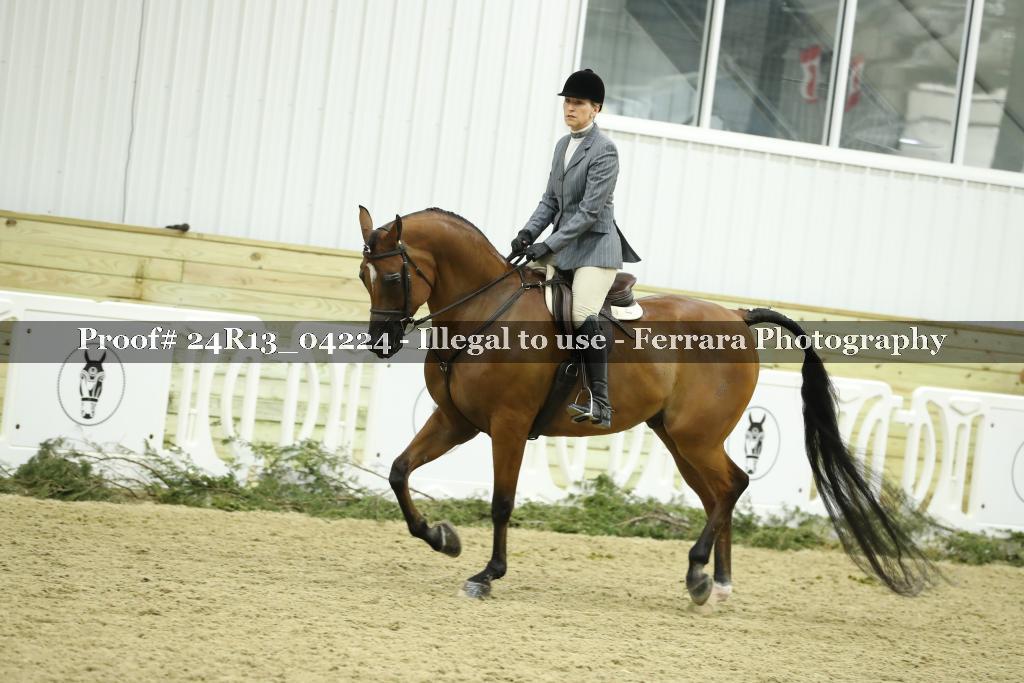 Proof 24R13_04224