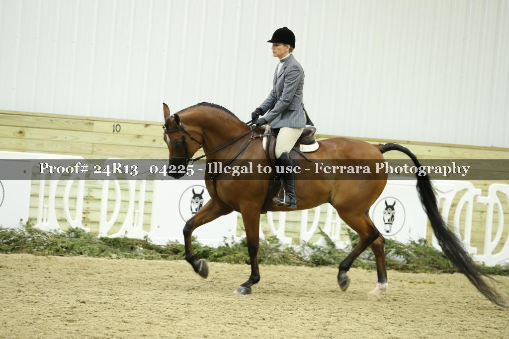Proof 24R13_04225
