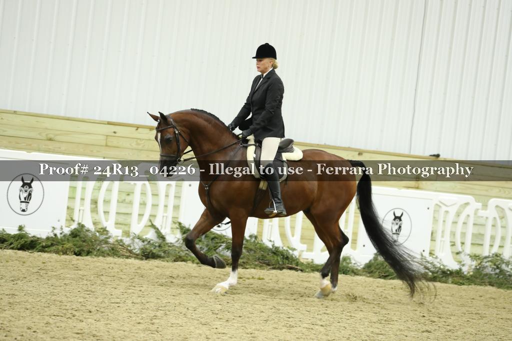 Proof 24R13_04226
