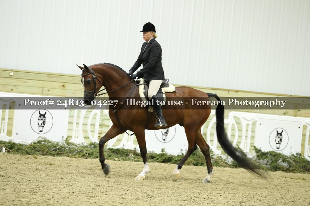 Proof 24R13_04227