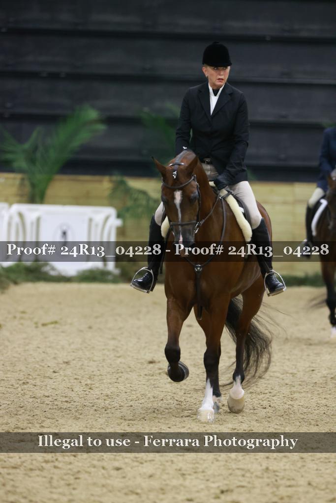 Proof 24R13_04228