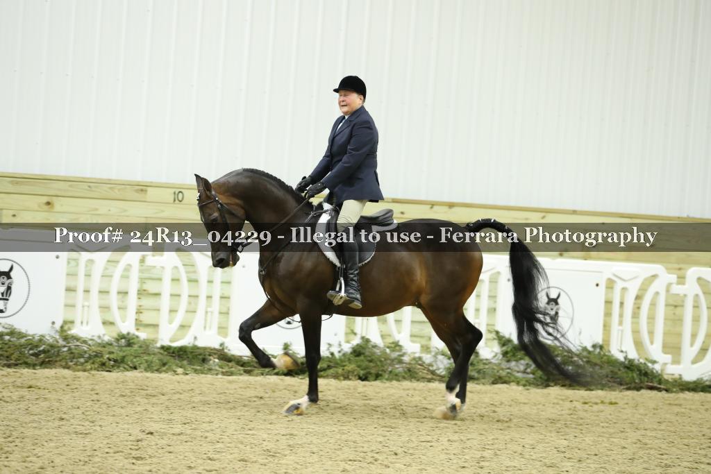 Proof 24R13_04229