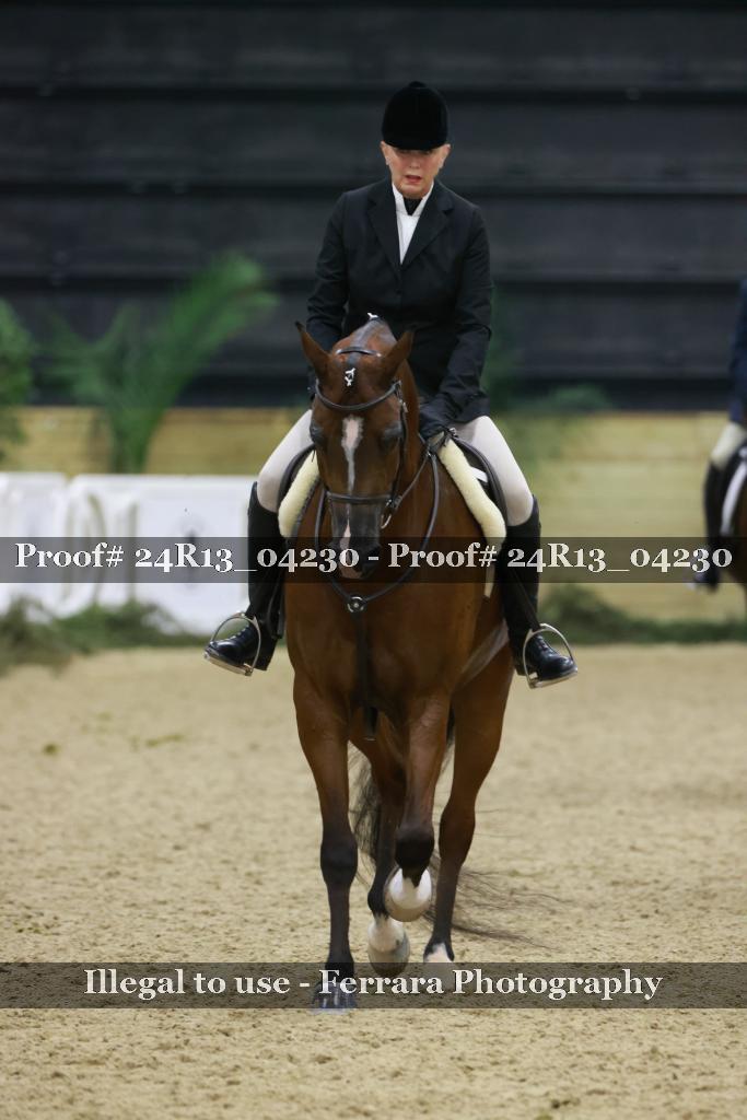 Proof 24R13_04230