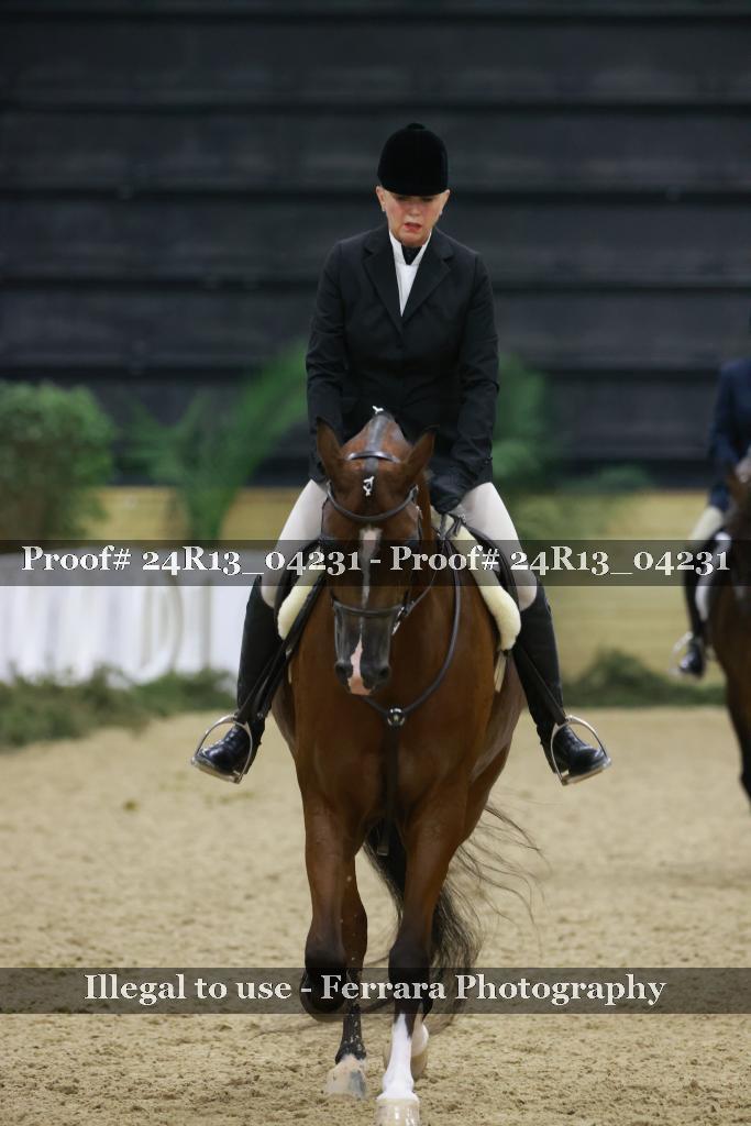 Proof 24R13_04231