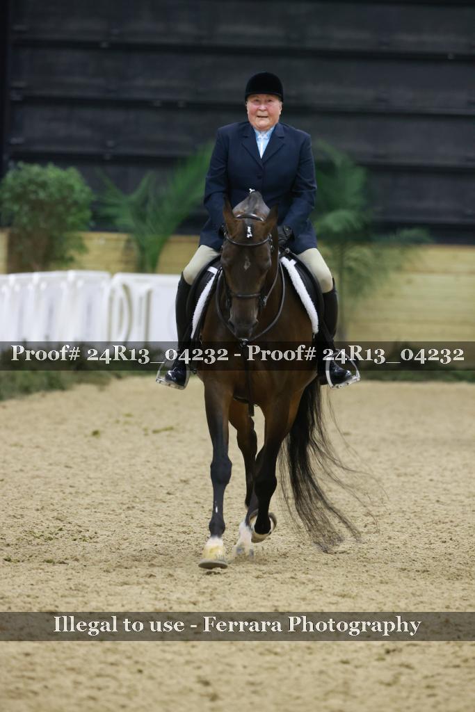 Proof 24R13_04232