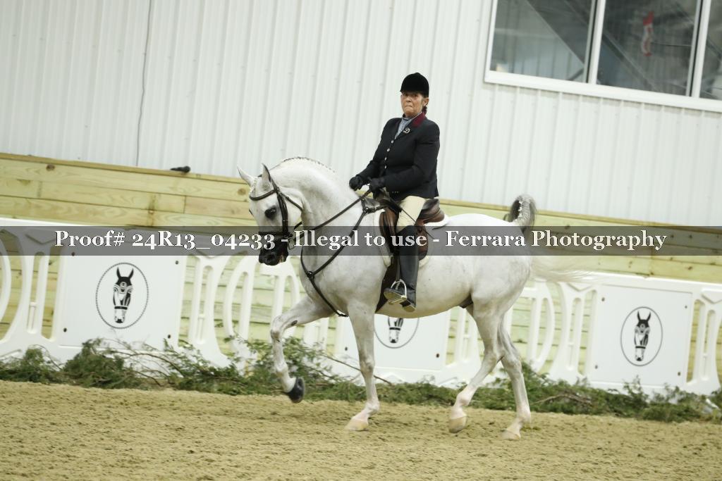 Proof 24R13_04233