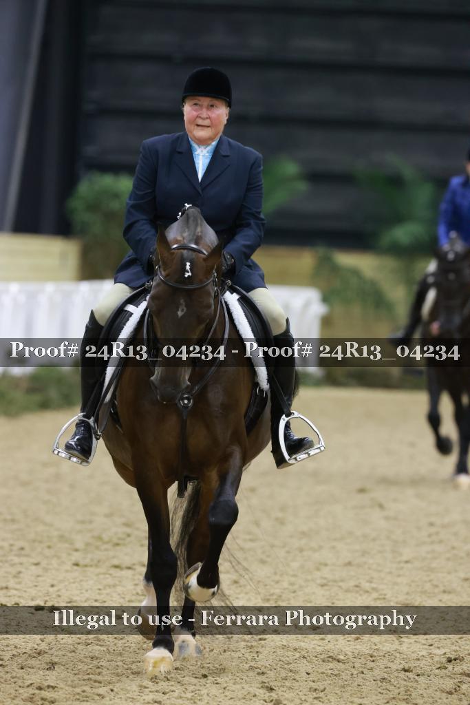 Proof 24R13_04234