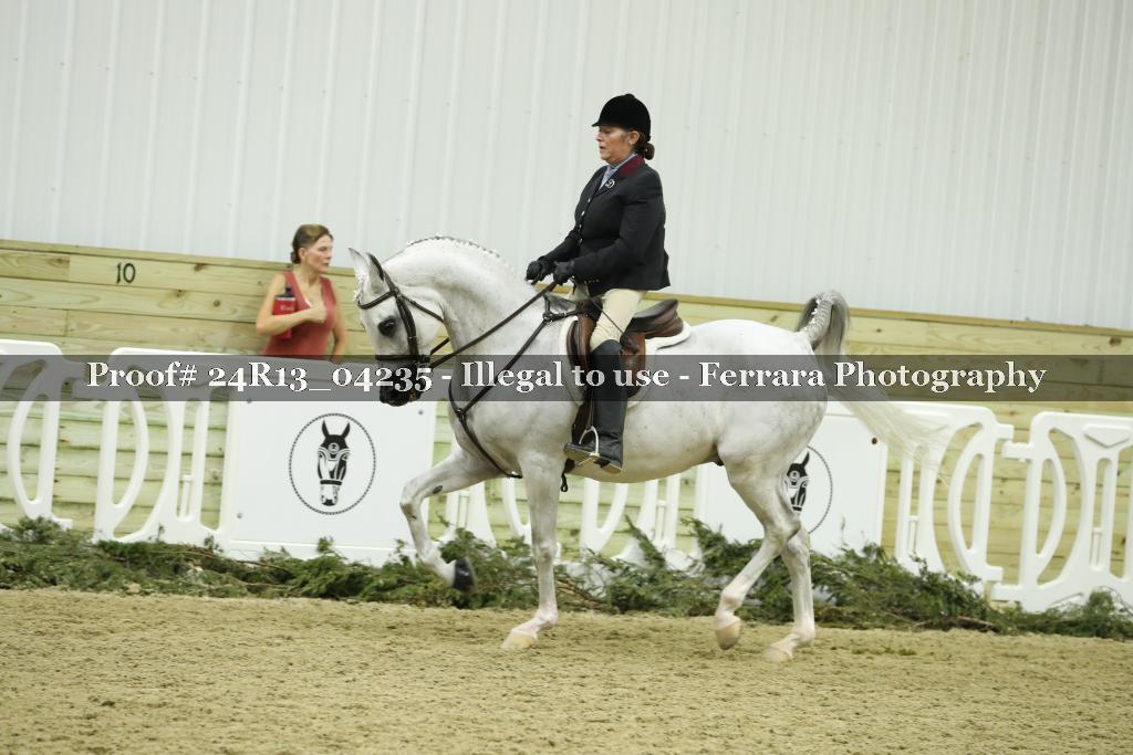 Proof 24R13_04235