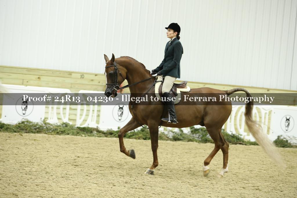 Proof 24R13_04236